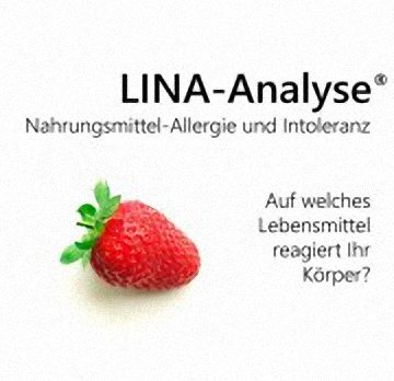 lina analyse
